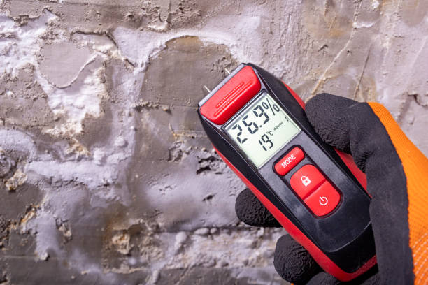 Mold Removal Process in Lewisville, NC