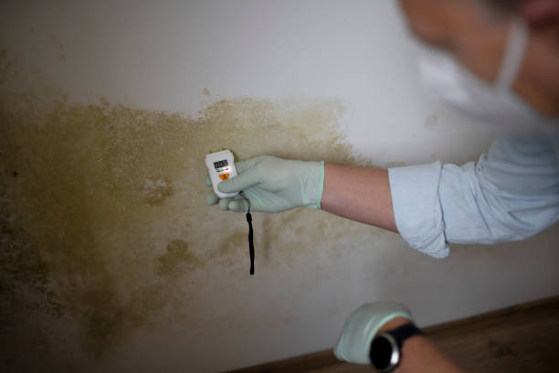 Water Damage Restoration in Lewisville, NC